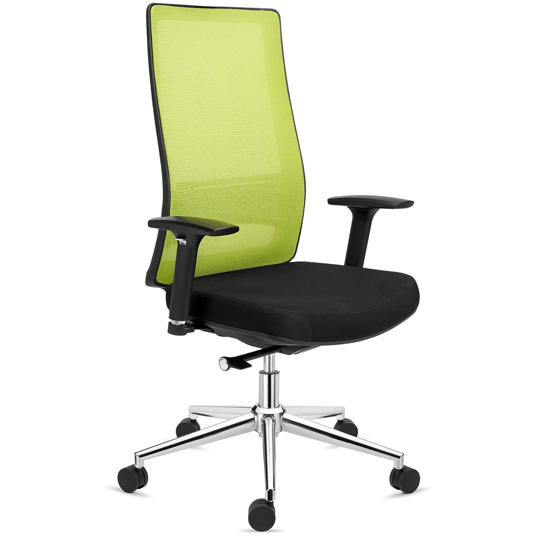 Chaise Ergonomique SANTOS, Utilisation Professionnelle 8h, Design Élégant, en Vert