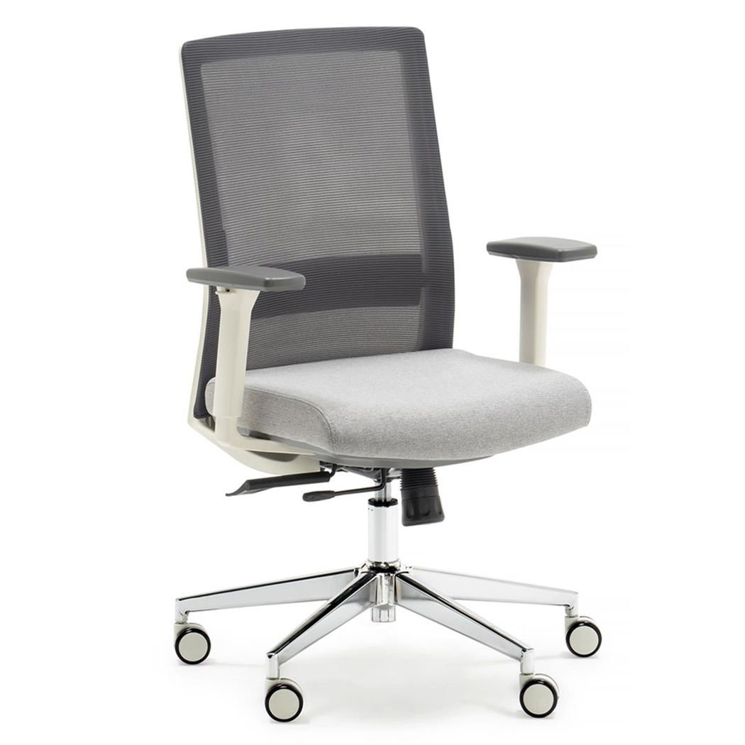 Chaise de Bureau ALBI, Ergonomique, Support Lombaire Réglable, Maille et Tissu, Gris