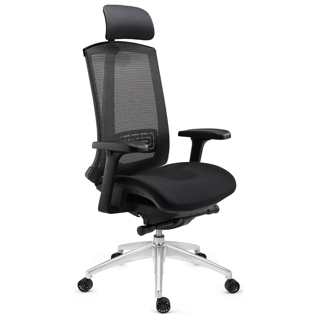 DEMO# Chaise Ergonomique RAPTOR, Support Lombaire Ajustable, Accoudoirs Réglables, Tissu et Maille, Gris