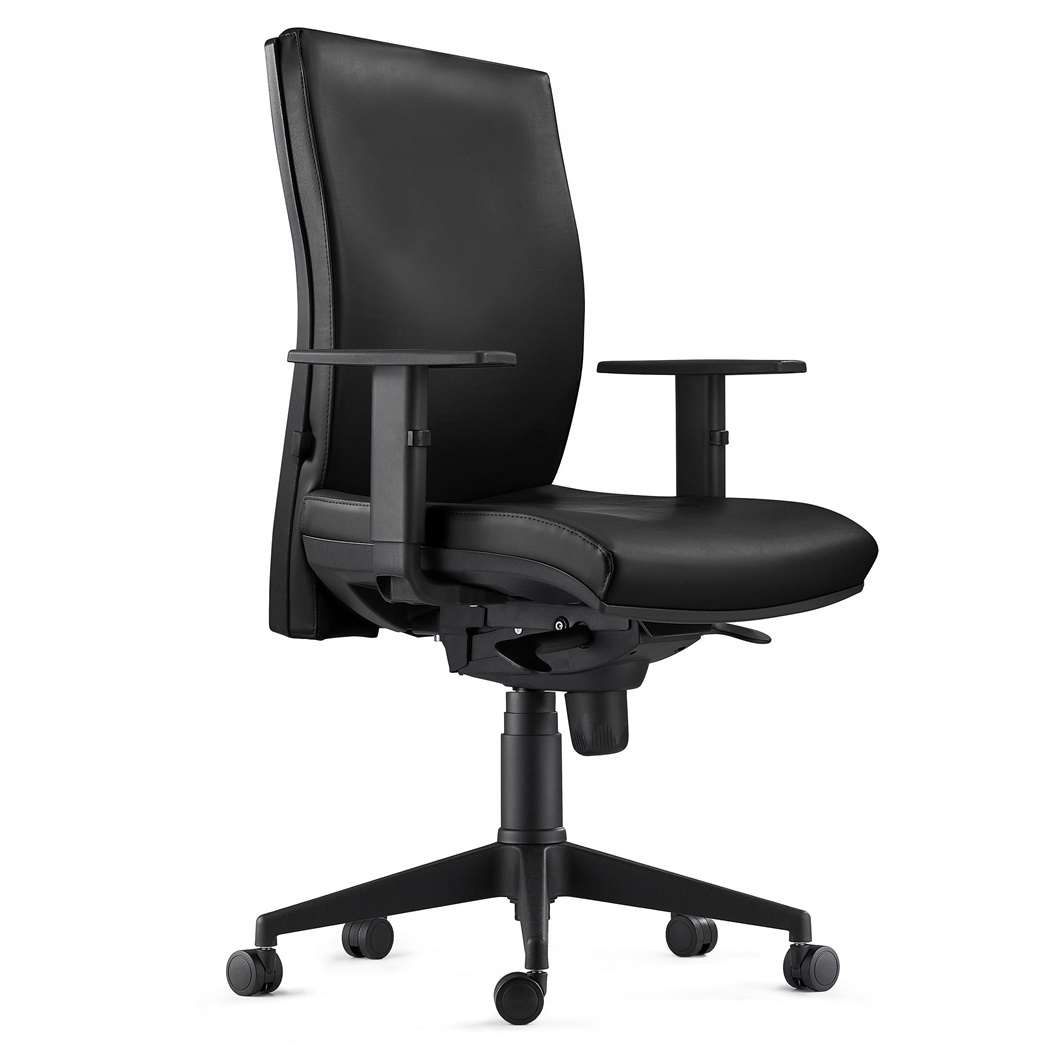 DEMO# Chaise Ergonomique CALVIN, en Cuir Véritable, Support Lombaire, Noir