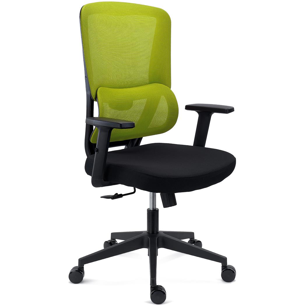 Chaise Ergonomique SUPRA, Utilisation Intensive, Support Lombaire, en Tissu et Maille Respirable, Vert