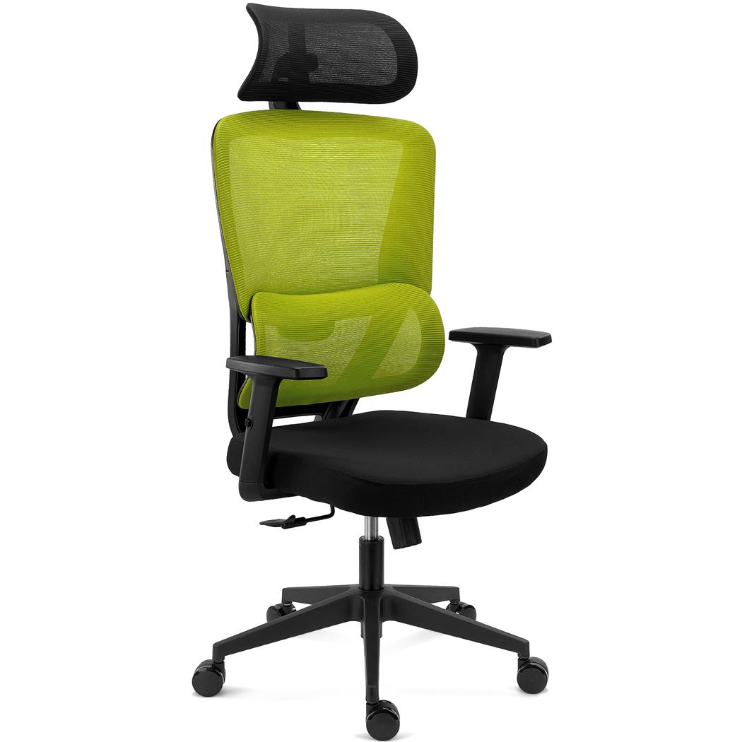 Chaise Ergonomique SUPRA avec Appui-Tête, Support Lombaire, Utilisation Intensive, Tissu et Maille Respirable, Vert