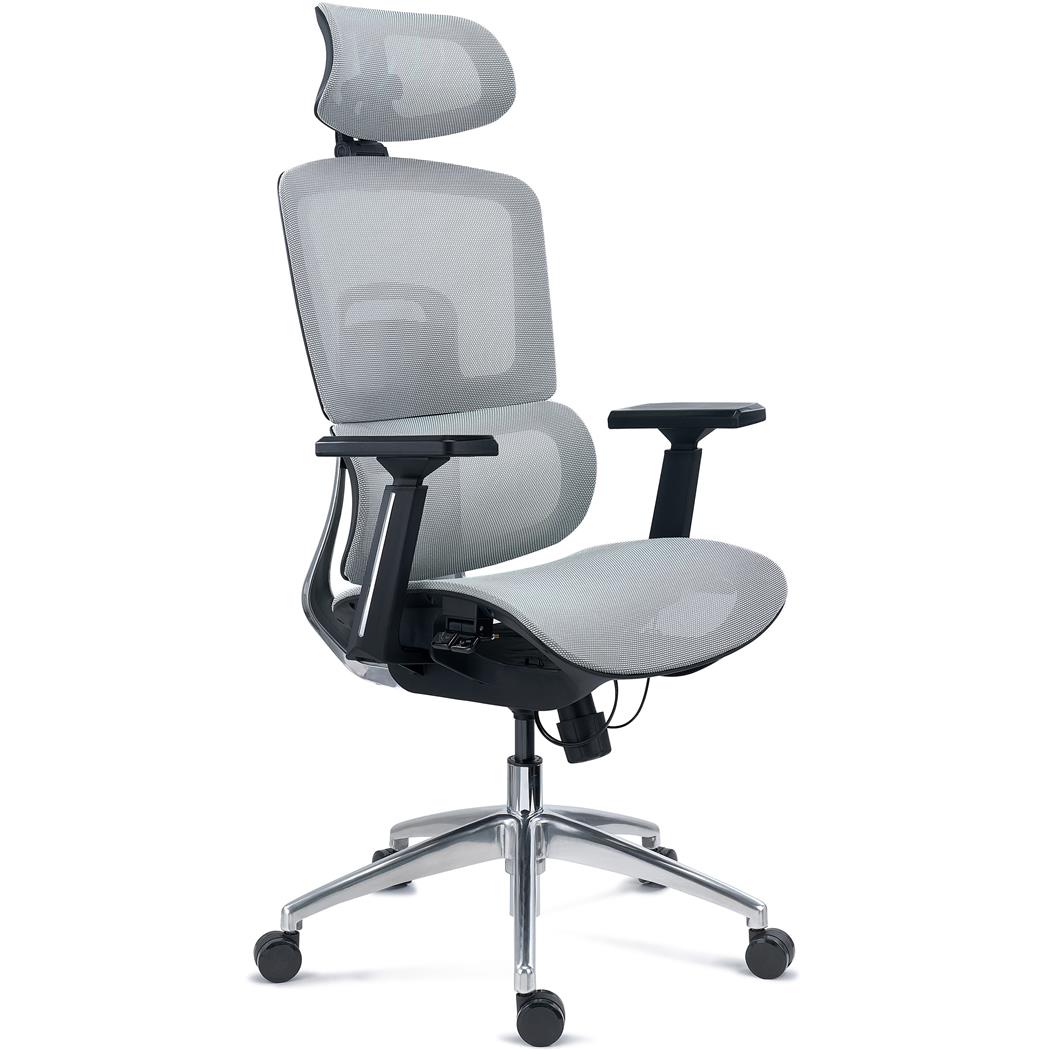 Chaise Ergonomique TITAN, Structure et Piètement Métallique, Assise Ajustable, Accoudoirs 3D, Gris