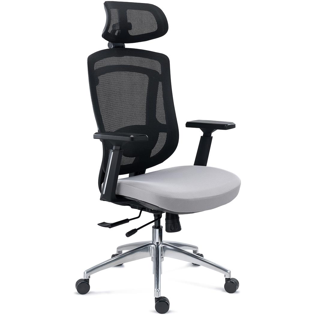 Chaise Ergonomique ASTON, Support Lombaire 3D, Assise Réglable en Profondeur, Utilisation Intensive 8h, en Gris