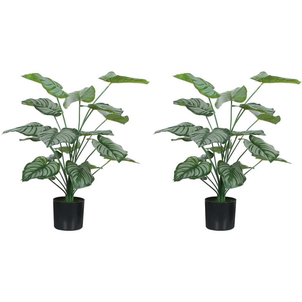 Lot de 2 Plantes de Bureau Artificielles TAIGA, Hauteur 65cm, Calathea Artificiel, Pots Inclus