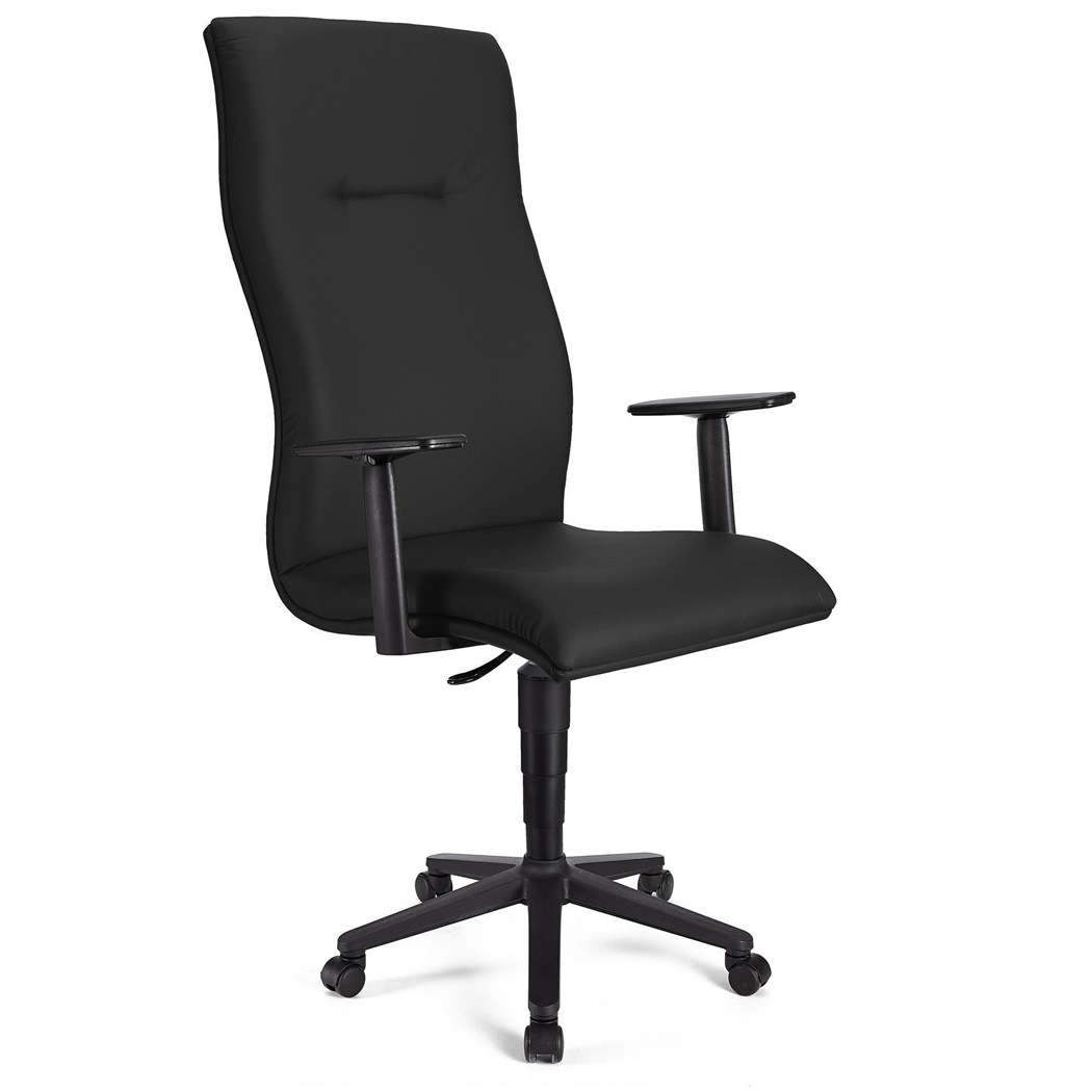 Fauteuil de bureau ANIBAL CUIR, Grand dossier, Accoudoirs Ajustables, Noir