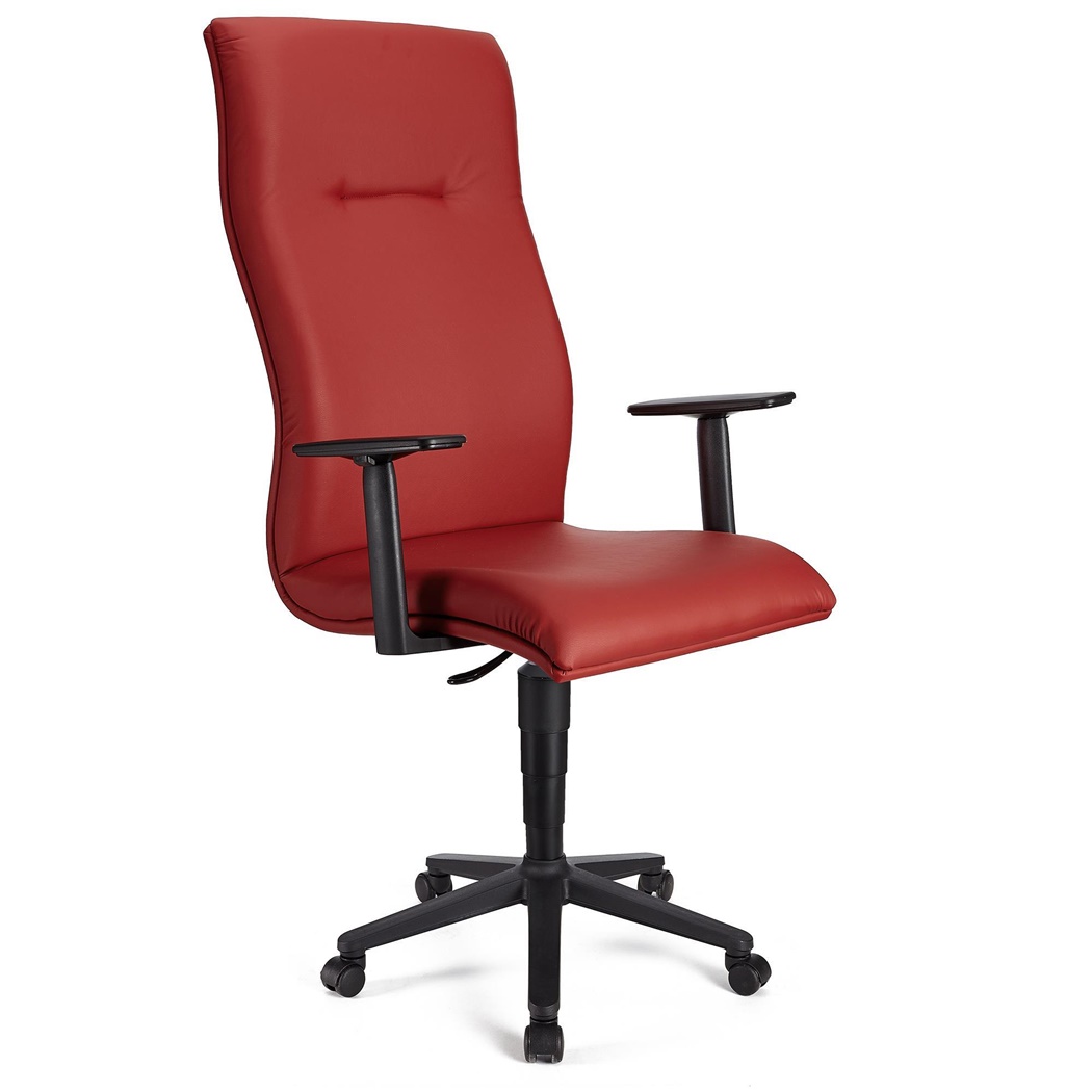 Fauteuil de bureau ANIBAL CUIR, Grand dossier, Accoudoirs Ajustables, Rouge