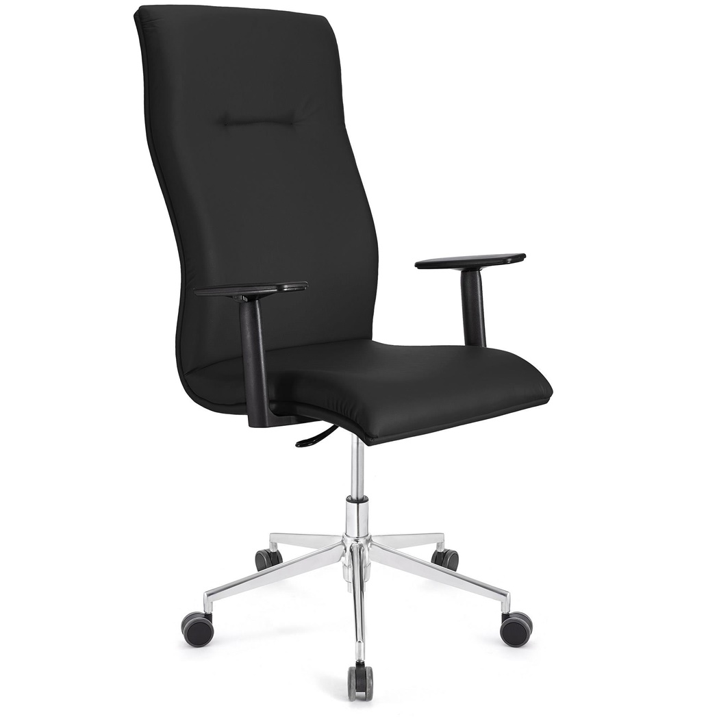 Fauteuil de bureau ANIBAL PRO CUIR, Grand dossier, Accoudoirs Ajustables, Noir