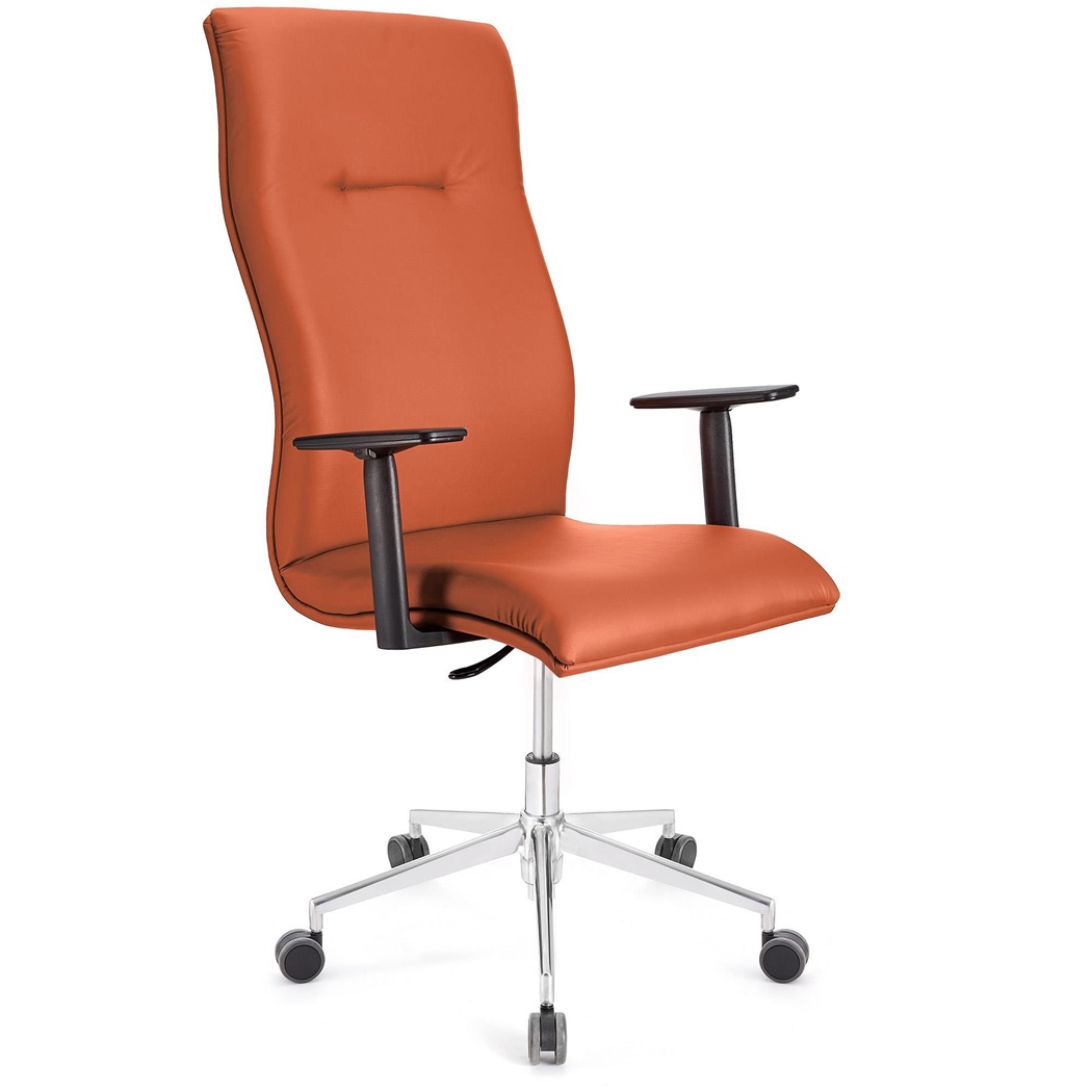 Fauteuil de bureau ANIBAL PRO CUIR, Grand dossier, Accoudoirs Ajustables, Orange