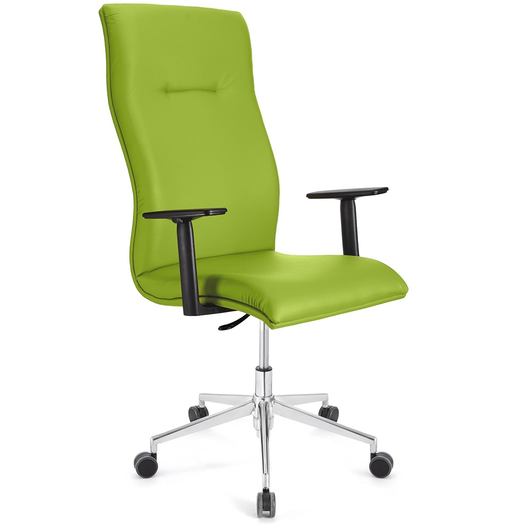 Fauteuil de bureau ANIBAL PRO CUIR, Grand dossier, Accoudoirs Ajustables, Vert