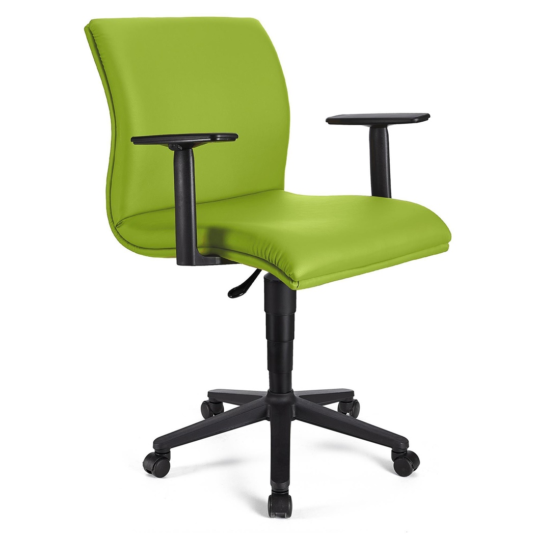 Fauteuil de bureau ANIBAL BASE CUIR, Accoudoirs Ajustables, Vert