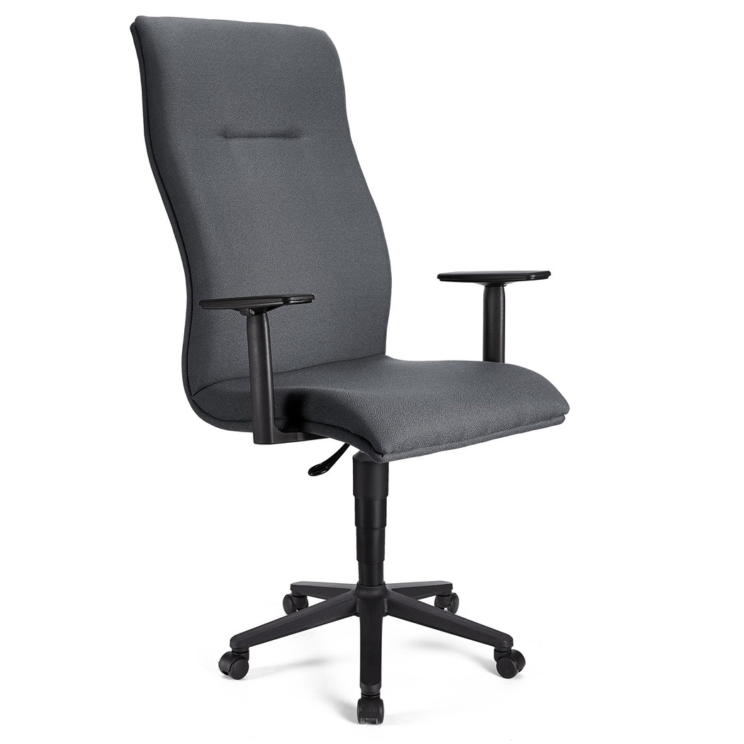 Fauteuil de bureau ANIBAL, Grand dossier, Accoudoirs Ajustables, Tissu, Gris