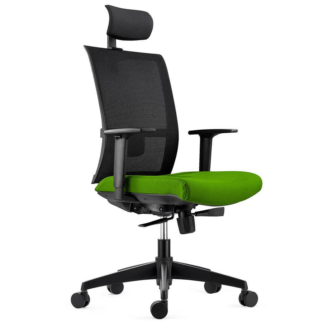 Chaise Ergonomique AXEL, avec Appui-tête, Support Lombaire, en Tissu Ignifuge et Maille, Vert