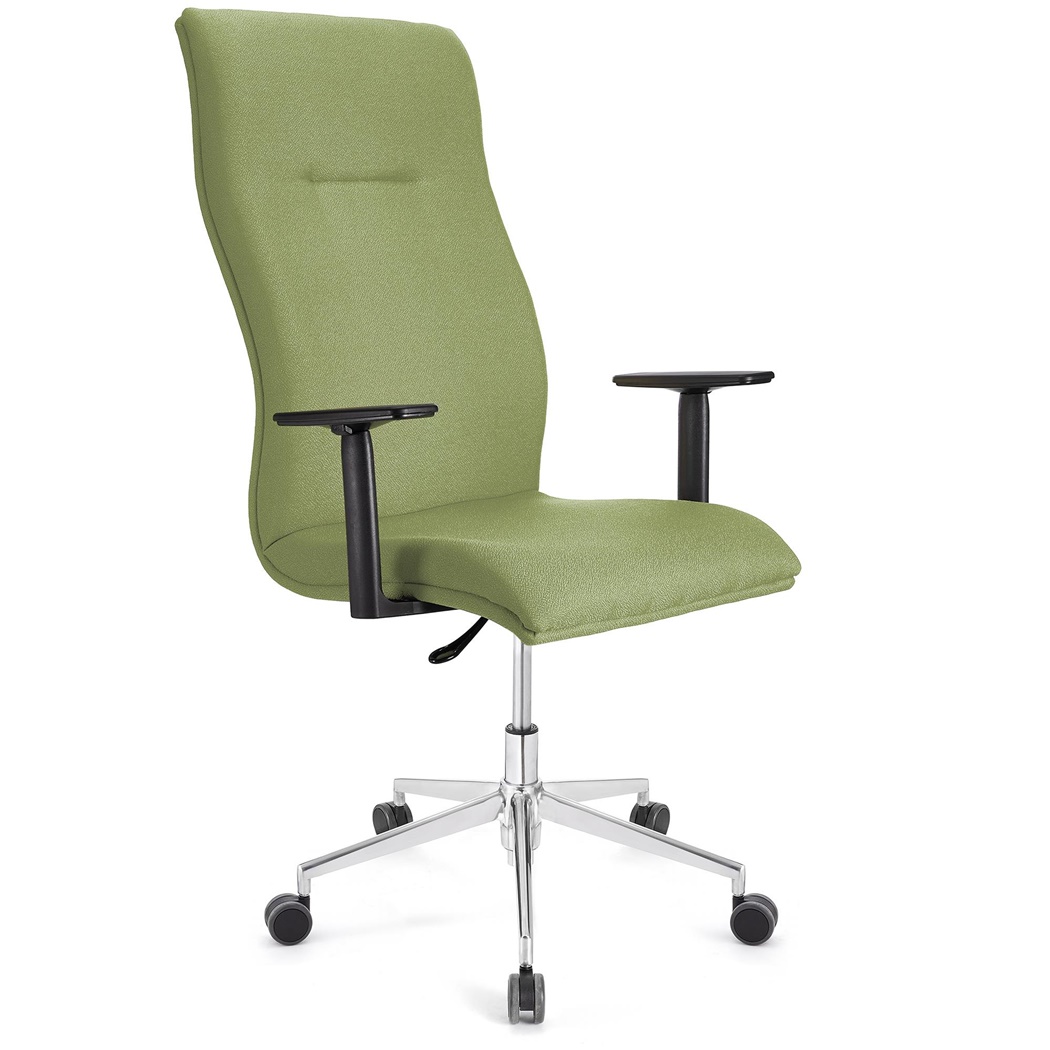 Fauteuil de bureau ANIBAL PRO, Grand dossier, Accoudoirs Ajustables, Tissu, Vert Olive