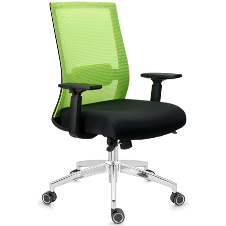 Chaise Ergonomique NIXON, Support Lombaire, Piétement Métallique, Utilisation 8H, en Vert