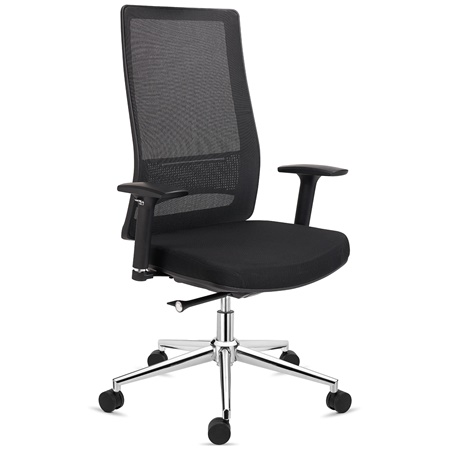 Chaise Ergonomique SANTOS, Utilisation Professionnelle 8h, Design Élégant, en Noir