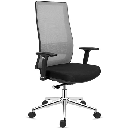 Chaise Ergonomique SANTOS, Utilisation Professionnelle 8h, Design Élégant, en Gris