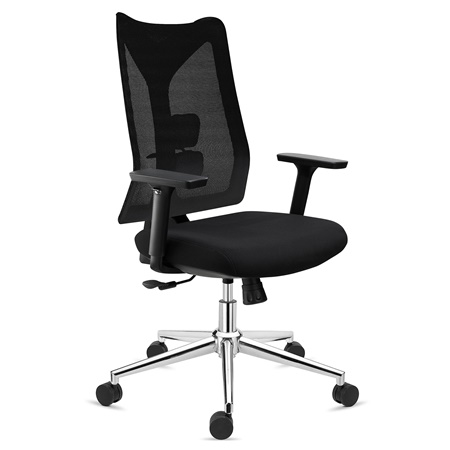 Chaise Ergonomique ADARA, Totalement Réglable, Support Lombaire, Noir