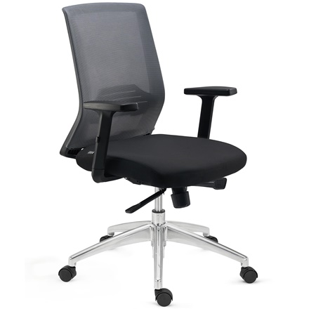 Chaise de Bureau MIAMI PRO, Support Lombaire, Accoudoirs Ajustables, Confortable et Robuste, Gris