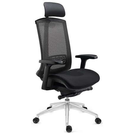 DEMO# Chaise Ergonomique RAPTOR, Support Lombaire Ajustable, Accoudoirs Réglables, Tissu et Maille, Gris