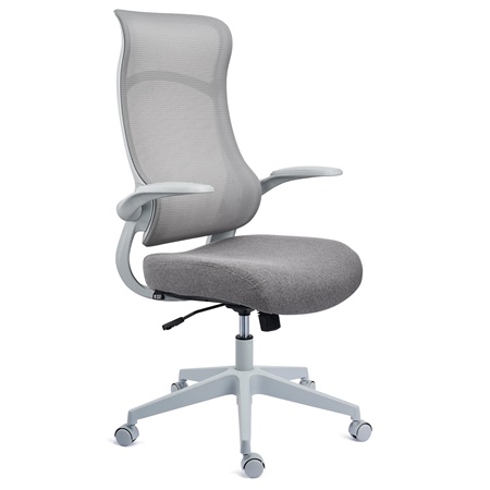 DEMO# Chaise de Bureau DAPHNE, Support Lombaire, Dossier Basculant, Gris