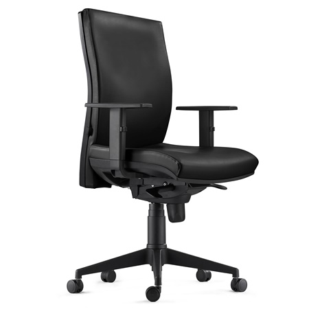 DEMO# Chaise Ergonomique CALVIN, en Cuir Véritable, Support Lombaire, Noir