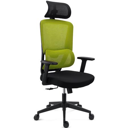 Chaise Ergonomique SUPRA avec Appui-Tête, Support Lombaire, Utilisation Intensive, Tissu et Maille Respirable, Vert