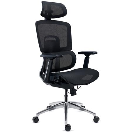 Chaise Ergonomique TITAN, Structure et Piètement Métallique, Assise Ajustable, Accoudoirs 3D, Noir