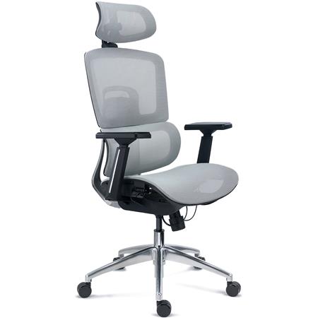 Chaise Ergonomique TITAN, Structure et Piètement Métallique, Assise Ajustable, Accoudoirs 3D, Gris
