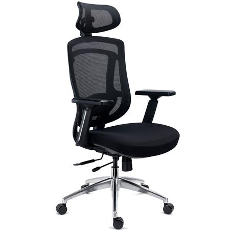 Chaise Ergonomique ASTON, Support Lombaire 3D, Assise Réglable en Profondeur, Utilisation Intensive 8h, en Noir
