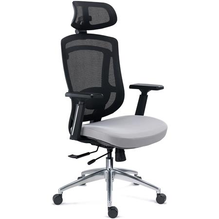Chaise Ergonomique ASTON, Support Lombaire 3D, Assise Réglable en Profondeur, Utilisation Intensive 8h, en Gris