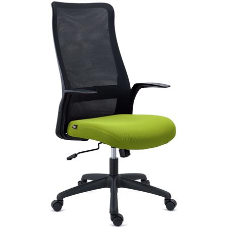 Chaise de Bureau SIERRA, Support Lombaire, Accoudoirs Design, en Tissu et Maille Respirable, Vert