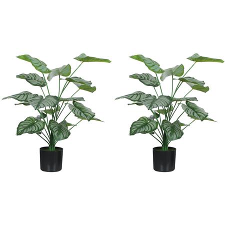 Lot de 2 Plantes de Bureau Artificielles TAIGA, Hauteur 65cm, Calathea Artificiel, Pots Inclus