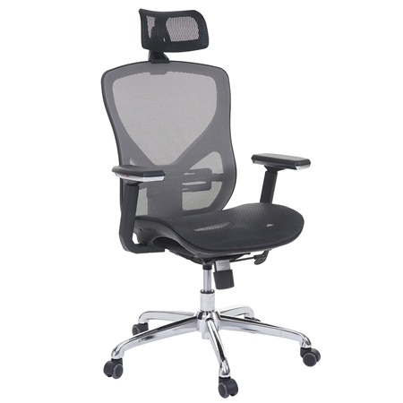 Chaise Ergonomique LAMBI, Totalement Ajustable, Support Lombaire, Gris/ Noir