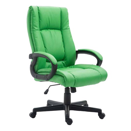 Fauteuil de bureau NINA CUIR, Grand rembourrage, Design élégant, Cuir, Vert