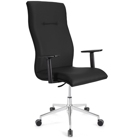 Fauteuil de bureau ANIBAL PRO CUIR, Grand dossier, Accoudoirs Ajustables, Noir