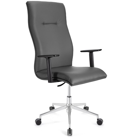 Fauteuil de bureau ANIBAL PRO CUIR, Grand dossier, Accoudoirs Ajustables, Gris