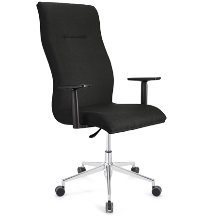 Fauteuil de bureau ANIBAL PRO, Grand dossier, Accoudoirs Ajustables, Tissu, Noir