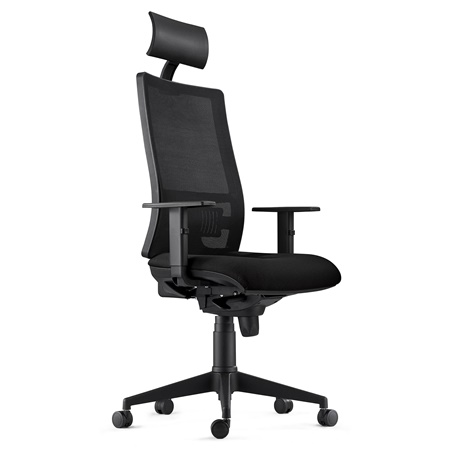 Chaise Ergonomique MARSA, Appui-Tête, Accoudoirs Ajustables et Support Lombaire, Noir