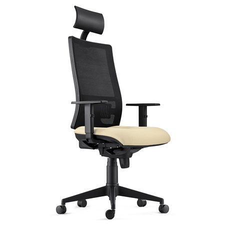 Chaise Ergonomique MARSA, Appui-Tête, Accoudoirs Ajustables et Support Lombaire, Crème