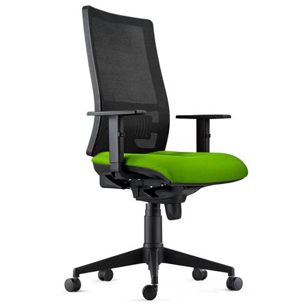 Chaise Ergonomique EMERSON, Support Lombaire, Accoudoirs et Dossier Ajustables, en Tissu, Vert