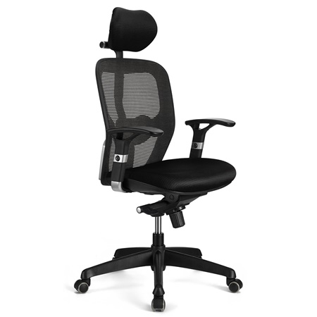 DEMO# Chaise ergonomique FELIX PRO, Support Lombaire Ajustable, Adapté utilisation 8h, Noir