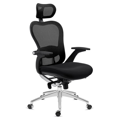 DEMO# Chaise Ergonomique ROYAL, Utilisation 8H/jour, Support Lombaire Avancé, Design Exclusif, Noir